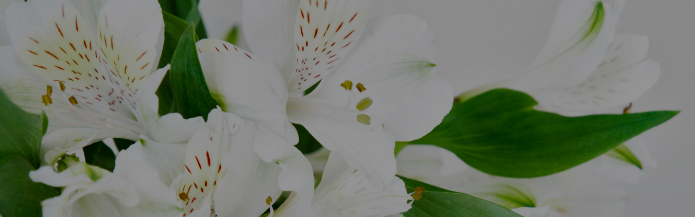 Mother's Day 2019