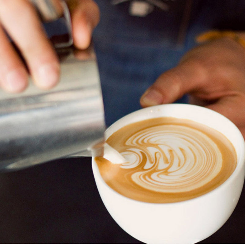 Café Culture Milk Frothing Pitcher -  Stainless Steel