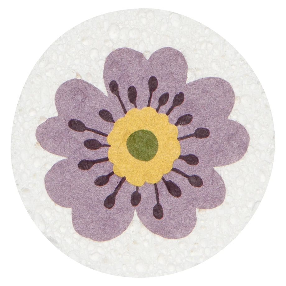 Now Designs Spring Compostable Sponge - Assorted Designs
