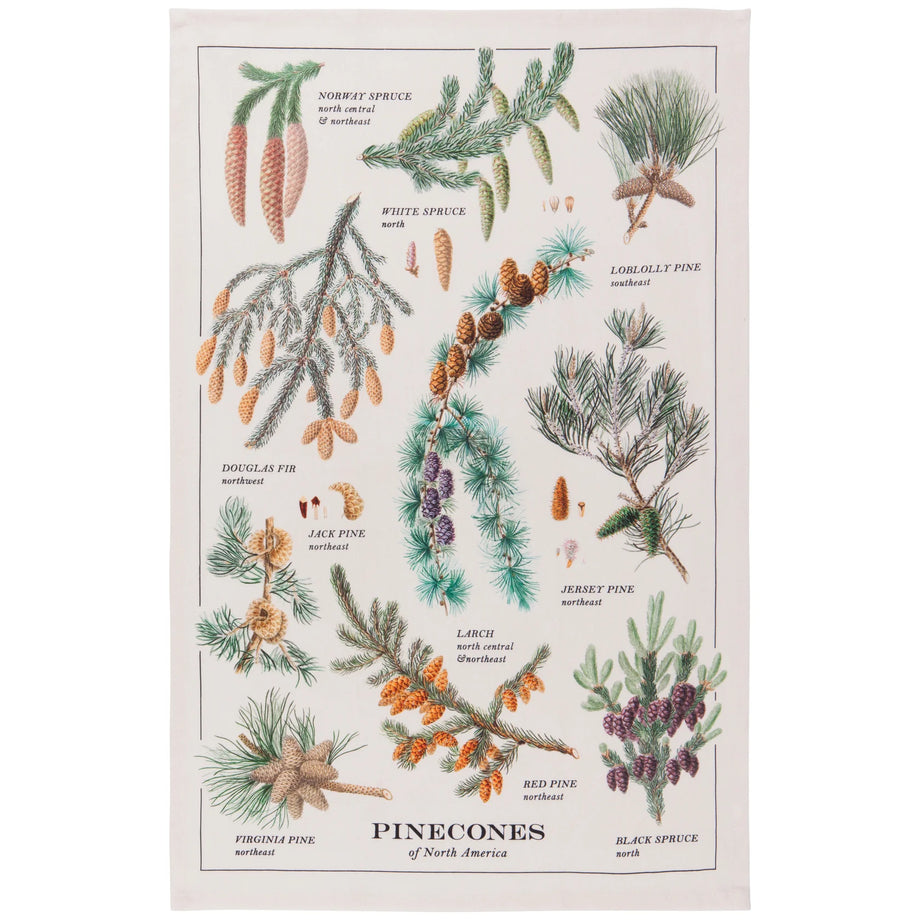 Now Designs Cotton Dishtowel - Pinecones
