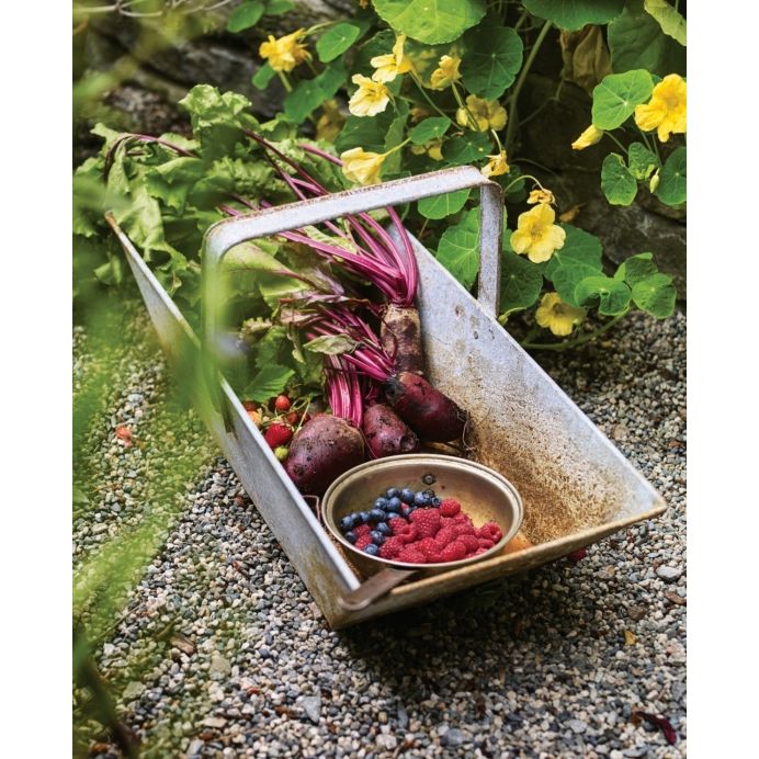 Le Jardinier Latéral : Recettes et Notes de Mon Jardin