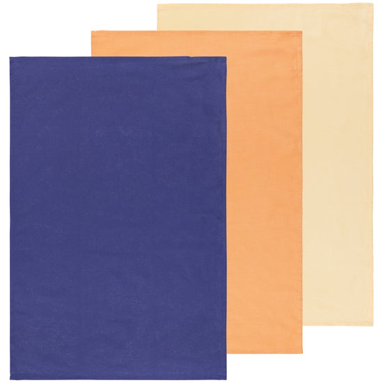 Now Designs by Danica  Dusk Apricot Sunray Floursack Dishtowels Set of 3 Assorted