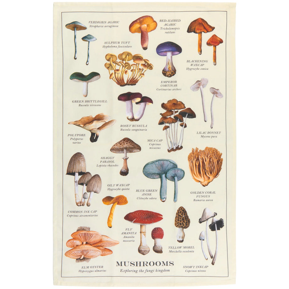 Danica Mushrooms Fine Print Dishtowel