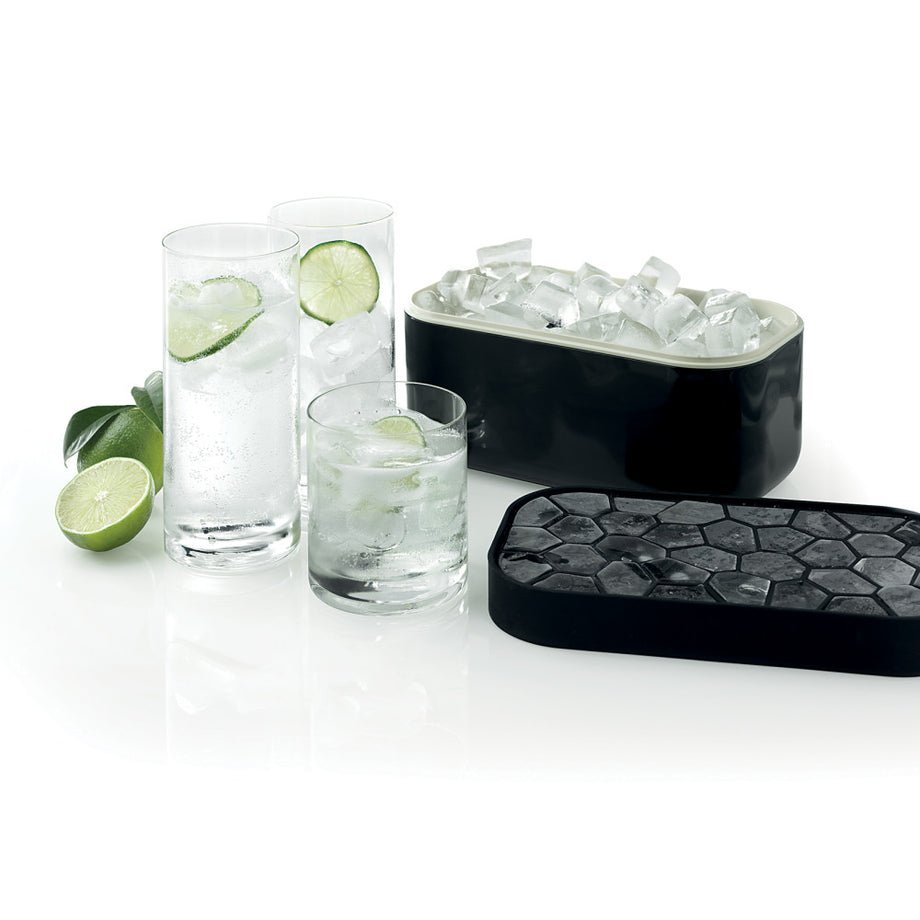 Lekue Ice Box Silicone Ice Cube Tray and Storage Box